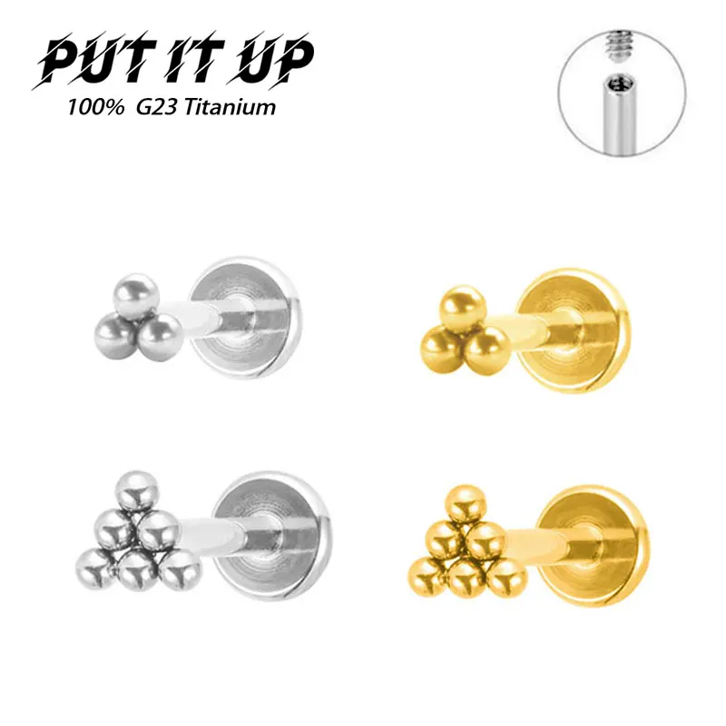 ASTM F136 Titanium 16G Mini 6  - Conch Earring Hoop ulasan dan harga