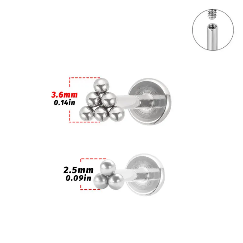 ASTM F136 Titanium 16G Mini 6  - Conch Earring Hoop ulasan dan harga